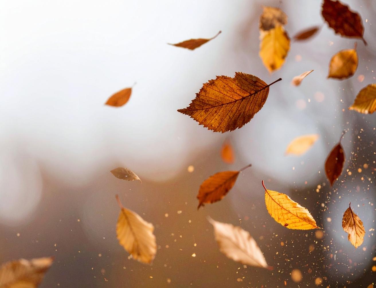 Signes et synchronicités perçus grâce à la pleine présence